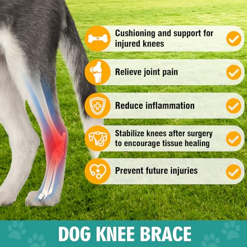 Image of Dog Knee Brace for Torn ACL Hind Leg Support, Adjustable Dog Leg Braces for Back Leg, Cruciate Ligament Injury and Luxating Patella Recovery, Hip Brace for Dogs, Universal for All 4 Legs, L