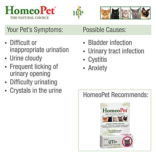 HomeoPet UTI Plus Urinary Tract Infection, Urinary Tract Support for Cats, 15 Milliliters - Image 4