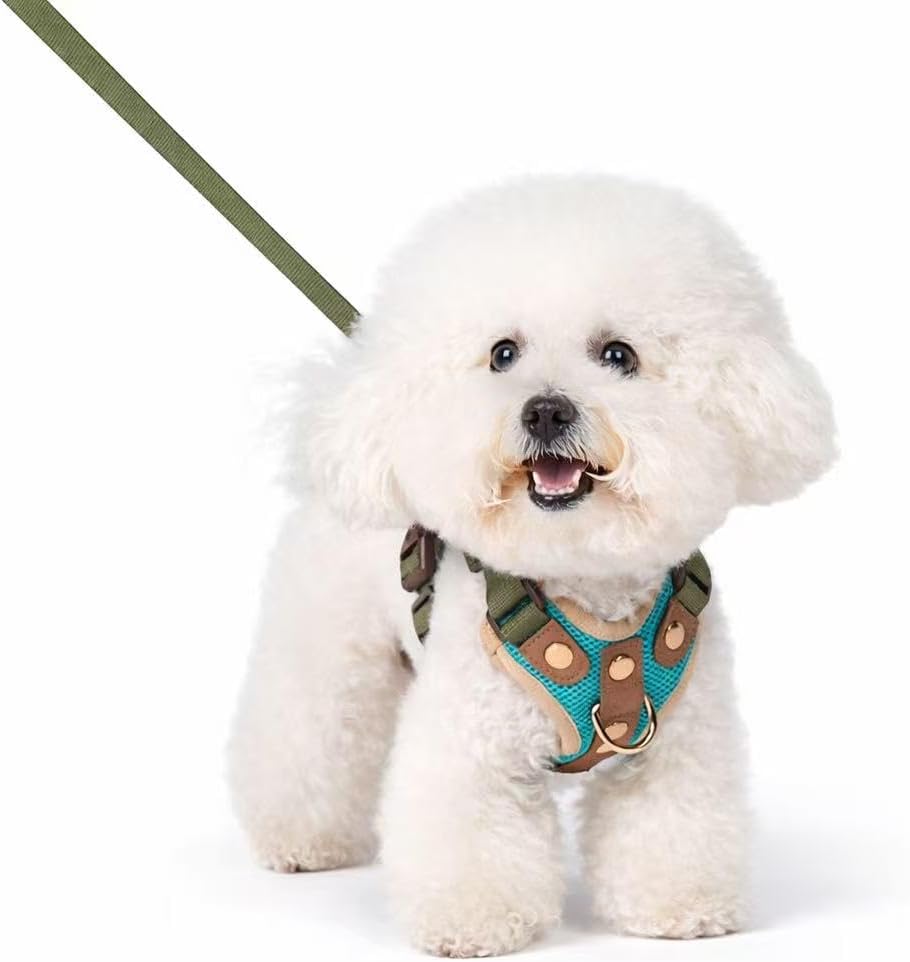 No Pull Dog Harness with Leash Set, Adjustable Padded Chest Vest with Front Clip, Escape-Resistant & Reflective, for Small Dogs (Sizes S–XL) Teal and Olive, M