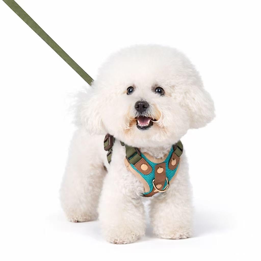 No Pull Dog Harness with Front Clip, No-Choke Padded Chest Vest with Leash Breathable Adjustable Reflective Harness for Small Medium Dogs (Teal and Olive, S)