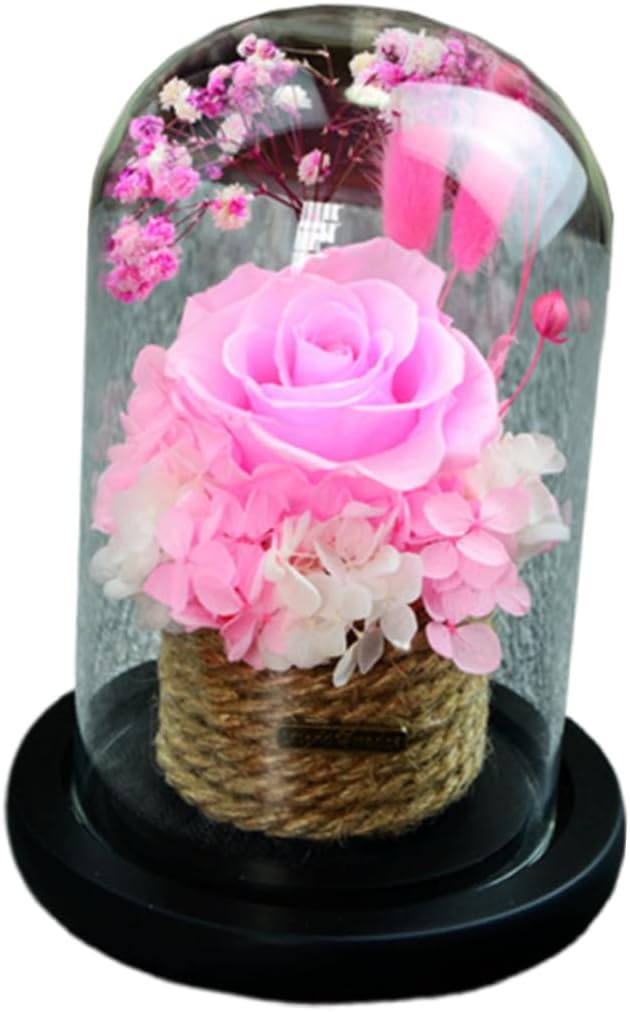 PRETYZOOM Romantic Preserved Rose Glass Dome Creative for Valentine Day Mother Day Christmas Eternal Elegant Display Case for Home Decor Wedding and Special Occasions