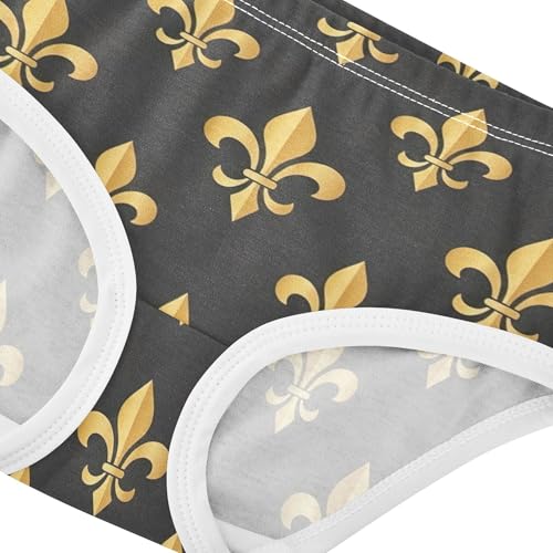 Gold Fleur De Lis Dark Gray Panties Little Girl Girls Underwear Toddlers Cotton Designer Briefs Undies Kids 2t4