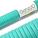 Paracorde 550, corde de survie à usages multiples et ultra-résistante, corde de parachute, corde gainée en nylon, longueur totale: 31m, couleur: turquoise – ATTENTION: NE PAS UTILISER CETTE CORDE POUR L'ESCALADE, de la marque Ganzoo