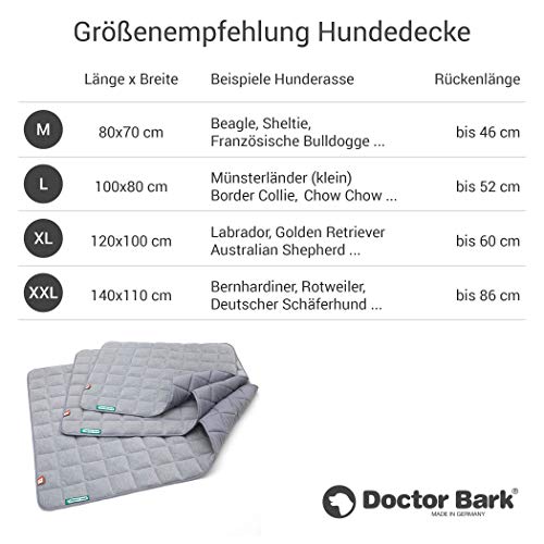 Doctor Bark Hundedecke Fleece Wendedecke - Flauschige, robuste Hundematte für große Hunde. waschbar bis 95°C - hochwertige Indoor/Outdoor Liegedecke (XL - 120x100 cm, Hellgrau/Hellgrau)