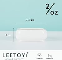 Vista 4 de Tazones de comida para reptiles, plato cuadrado de cerámica para agua de reptiles, cuenco de comida para mascotas para lagartos, dragones barbudos