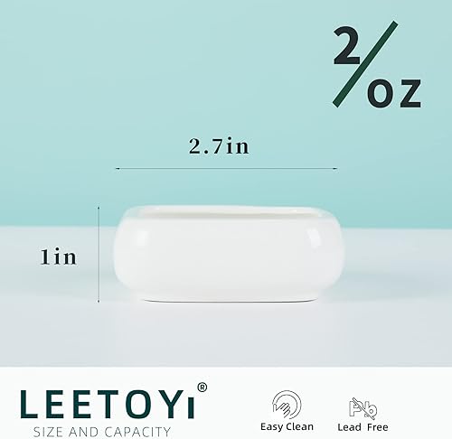 Miniatura 4 de Tazones de comida para reptiles, plato cuadrado de cerámica para agua de reptiles, cuenco de comida para mascotas para lagartos, dragones barbudos