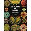 Art Forms in Nature (Dover Pictorial Archive) Paperback June 1, 1974