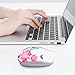 JUHOO Wireless Mouse with Nano Receiver for PC, Laptop, Notebook, Computer, MacBook, Less Noise, Portable Mobile Optical Mice