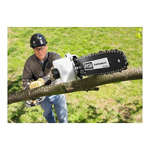 Ryobi Expand-It 10 in. Universal Pole Saw Attachment