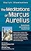 The Meditations of Marcus Auerlius: Selections Annotated & Explained (SkyLight Illuminations)