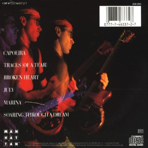 Vista 2 de Soaring Through a Dream