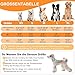 UFO PET Wiederverwendbare Hunde Windeln Weiblich, Läufigkeitshose für Hündinnen XS (3 Stück), Hochsaugfähige Hundewindeln für Hündinnen mit Starkem und Flexiblem Verschluss - Süße Krallen