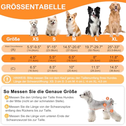 UFO PET Wiederverwendbare Hunde Windeln Weiblich, Läufigkeitshose für Hündinnen XS (3 Stück), Hochsaugfähige Hundewindeln für Hündinnen mit Starkem und Flexiblem Verschluss - Süße Krallen