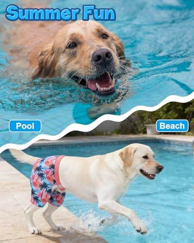 Image of CuteBone Dog Swim Trunks Swimsuit Durable & Comfortable - Quick-Dry, Adjustable Waistband Shorts, UV Protection Bikini- Perfect for Beach, Pool & Outdoor Fun, Dinos DST10S