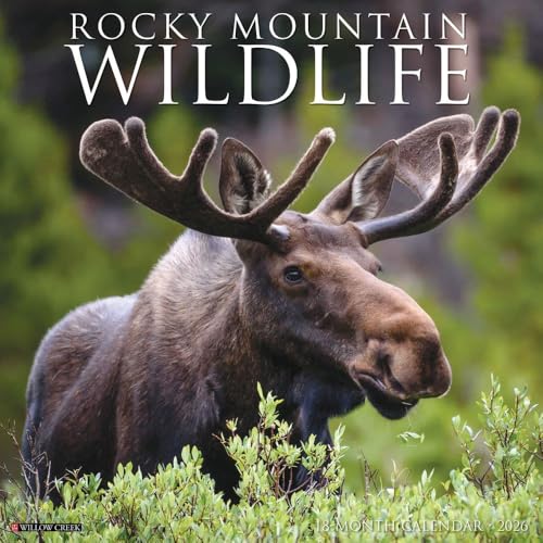 Rocky Mountain Wildlife 2026 12