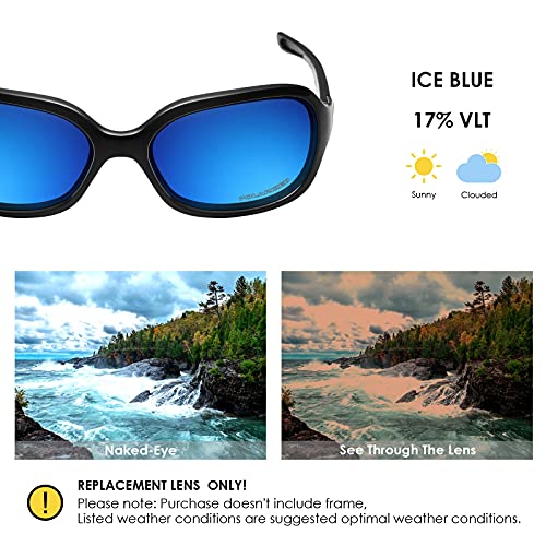 Image of BLAZERBUCK Polarized Replacement Lenses & Nose Pad for Oakley Pulse OO9198 Sunglasses