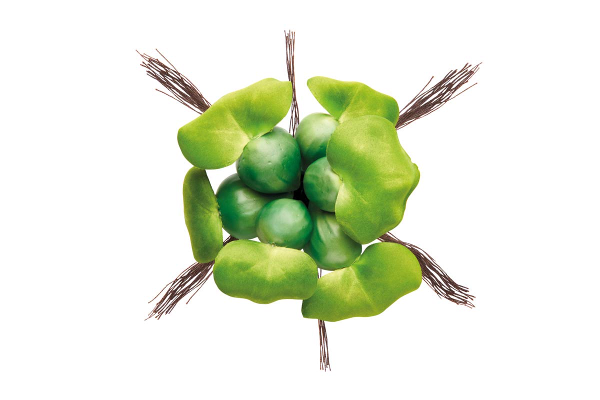 Pontec PondoHyacinth - jacinto de estanque flotante para la superficie del agua / decoración de estanque de plástico resistente a la intemperie, verde