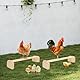 Joyzan Hühnerbarsch für Hühner, 2 Stück Sitzstange Hühnerholzstangen Hölzerne Vogelständer Trainingshühner Raststange Stehendes Trainingsmaterial Barsche Huhn Barsch Vogel Holzständer 40 x 12 x 8 cm