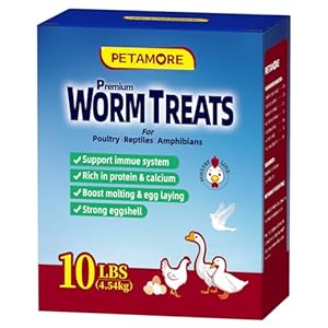10 Lbs Alternative to Dried mealworms for Birds-Dried Black Soldier Fly Larvae for Chickens Reptiles – Superior Meal Worms Protein Source and Eggshell Strengthener