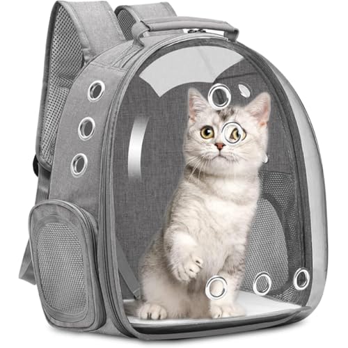 Qfmr ybgL[obO LL[ Lp FDJvZ^ bNTbN sybgobO  o UVJbgO΍^ ʋC e ϋv S ܂肽 pbht ubN (O[)