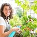 Relaxdays 10023296 Soporte Plantas Trepadoras, Pack de 2, Ajustables, Tutores Tomateras, Obelisco...