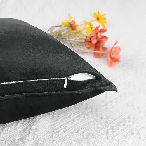 Uxcell Pack of 2 Decorative Velvet Cushion Covers Home Decor Solid Pillow Cover for Couch Sofa Living Room Black 50 x 50 CM - Image 4