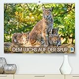 14 Seiten bestehend aus 1 Coverbild | 12 Monatsbilder | 1 Indexseite | Inklusive Cover-Schutzfolie und Einstecktaschen. DIN A2 Maße: 445 x 640 x 20 mm.