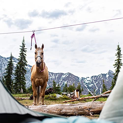 Trailmax In-Line Swivel For Horse Highline Rope, Use To Secure Stock Without Them Getting Tangled In Their Lead Rope, Allows Stock To Securely Rest In Camp, Trailmax Original Design #TOP6