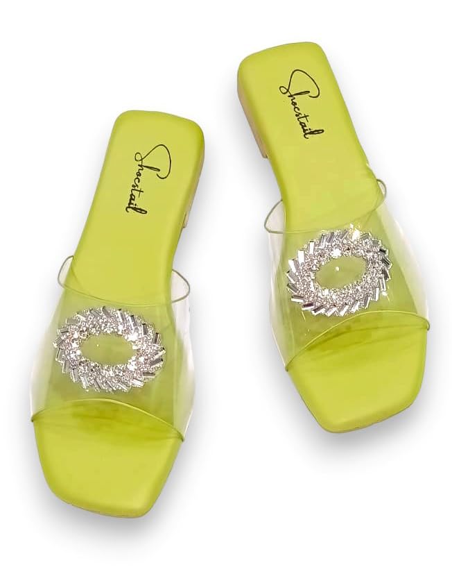 shoestail Women's Tranprant and Embellished Flat Fashion Sandals-picture-41