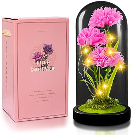 QUELIEN Carnation Flowers Gift, Galaxy Flower Rose Gift for Girlfriend, Light Up Artificial Flowers, Pink Carnation Glass Cover Decoration Gift for Girlfriend, Romantic Gift for Birthday Gift