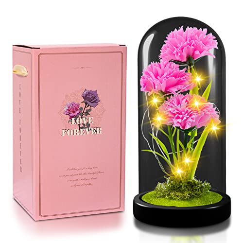 Quelien Carnation Flowers Gift, Galaxy Flower Rose Gift For Girlfriend, Light Up Artificial Flowers, Pink Carnation Glass Cover Decoration Gift For Girlfriend, Romantic Gift For Birthday Gift #TOP25