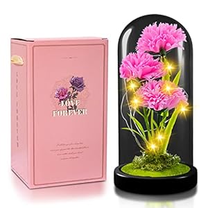 QUELIEN Carnation Flowers Gift, Galaxy Flower Rose Gift for Girlfriend, Light Up Artificial Flowers, Pink Carnation Glass Cover Decoration Gift for Girlfriend, Romantic Gift for Birthday Gift