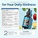 Ashwagandha & Turmeric Liquid Drops - Vitamin C, Sea Moss, Apple Cider Vinegar, Bladderwrack - Vegan Liquid Drops for Comprehensive Wellness Support & Vital Immunity (Strawberry Ginger Lemonade, 60mL)