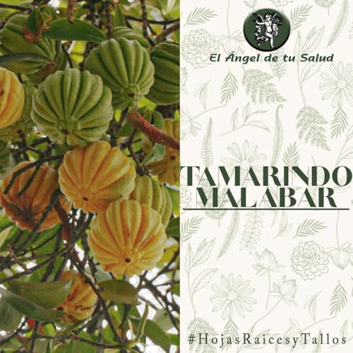 El Ángel de tu Salud - Tamarindo Malabar**