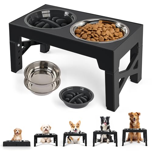 PAWISE Raised Dog Bowl 5 Heights Adjustable, Elevated Dog Bowls with 2x1200ML Stainless Steel Dishes &1 Slow Feeder Bowl, Dog Feeding Station for Small Medium & Large Dogs, Non-Slip and No Spill
