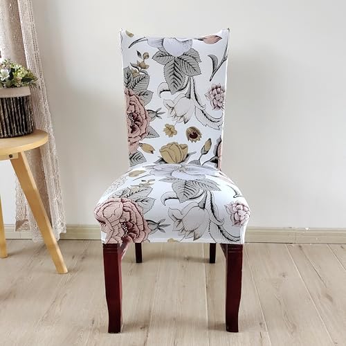 Image of House of Quirk Elastic Chair Cover Stretch Removable Washable Short Dining Chair Cover Protector Seat Slipcover (Pack of 2, Biege Bliss)