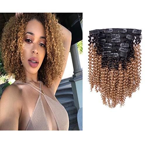 Loxxy Ombre Curly Clip In Hair Extensions Remy Human Hair Afro Kinky Clip In 3C 4A Clip In Hair Extension Afro Natural Curly Clip In Hair Extensions For Black Women (20inch, KC Ombre #1B/27)