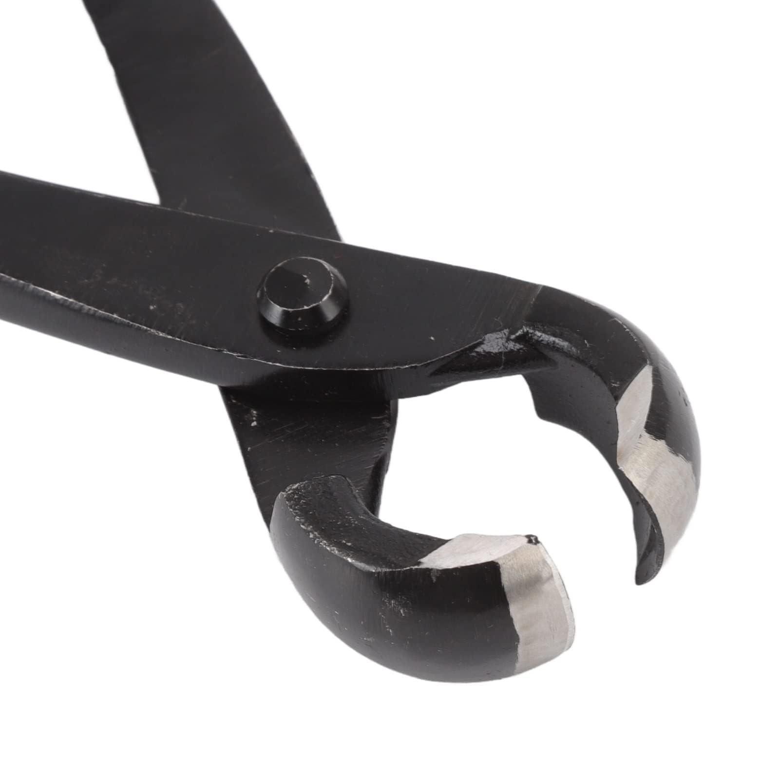 5 Pièces Ensemble D'Outils de Bonsaï, Ensemble D'Outils de Jardinage Succulents en Acier Au Carbone avec Poignée Ergonomique, Ciseaux À Bonsaï Professionnels Râteau Coupe Branches Sécateurs