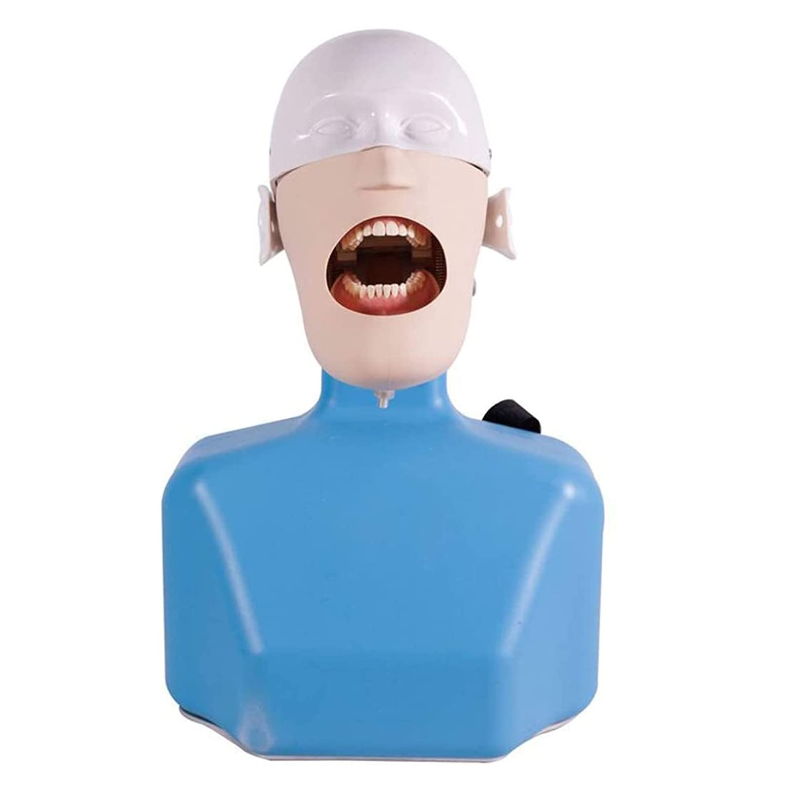 Modèle D'Enseignement, Simulateur Dentaire, Modèle De Tête D'Enseignement Dentaire, Modèle Médical Avec Simulateur De Formation Dentaire Du Corps D'Épaule Pour L'Enseignement Des Dentistes, Pratique