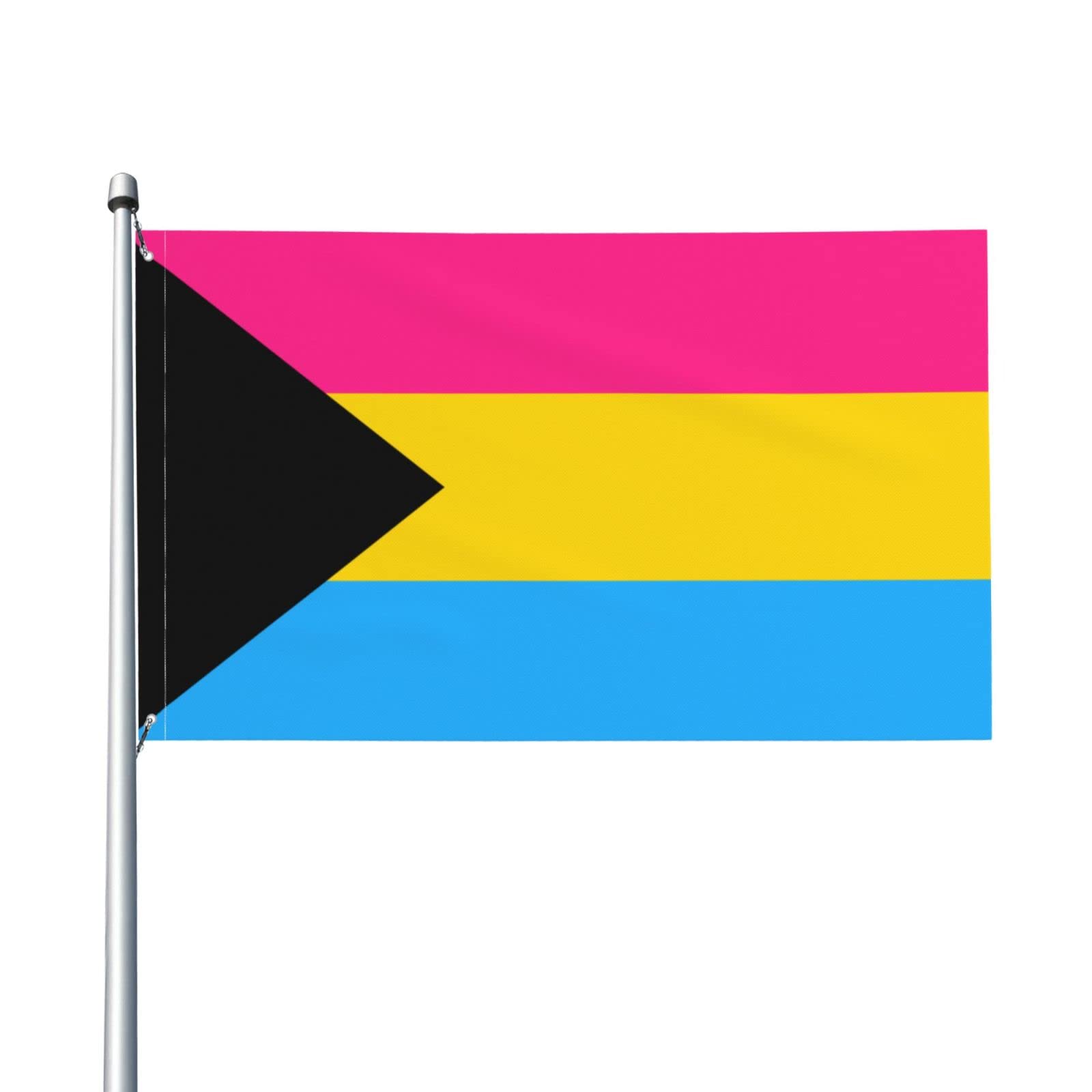 Demi Pansexual Demipansexual Pride Flag Welcome Party Outdoor Outside Decorations Picks Home House Garden Yard Decor 3 X 5 Ft Large Flag