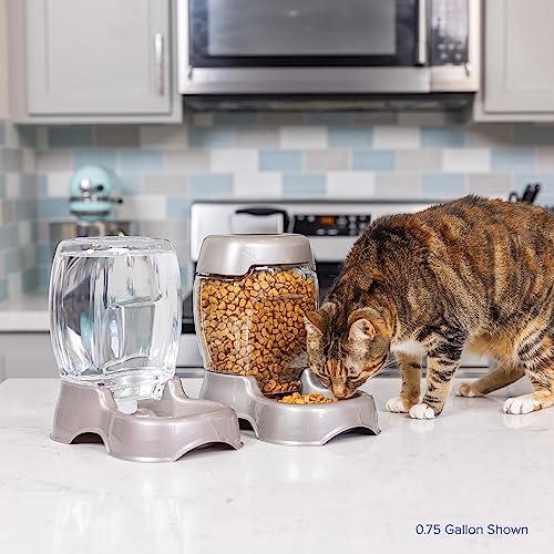 Petmate Pet Cafe Cat and Dog Water Dispenser Extra Small Water Bowl for Kittens and Puppies, USA Made, 0.25 GAL, 7.3"H, Pearl Ash Blue - Image 7