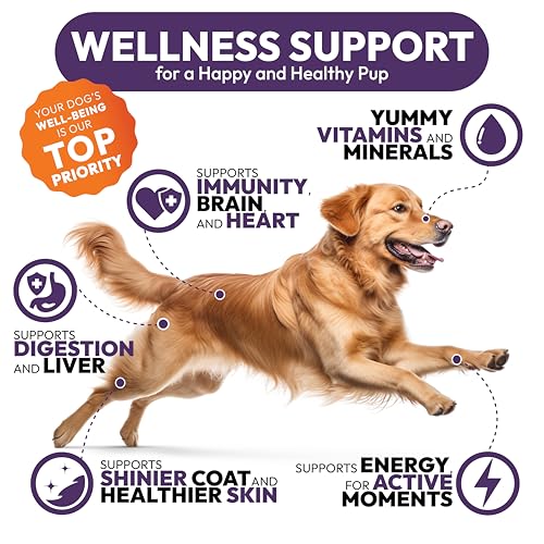 25-in-1 Dog Vitamins and Supplements - 250 Chews Dog Multivitamin Chewable with Glucosamine, Probiotics Omega 3 for Dogs Skin & Coat Hip & Joint Gut Brain Immune Support - Senior & Puppy Multivitamin - Image 6