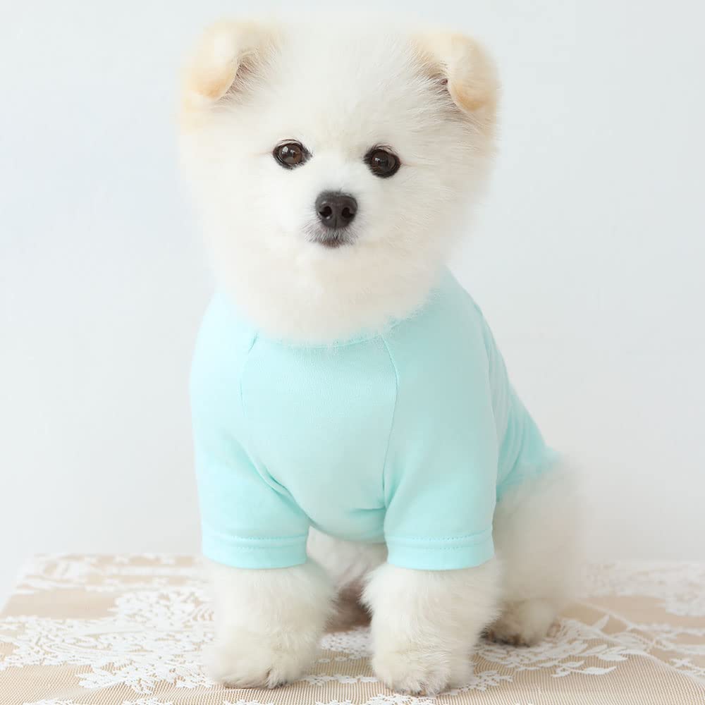 Camisa de perro para perros pequeños, camisetas lisas suaves y transpirables para perros, ropa para mascotas (mediano, menta)