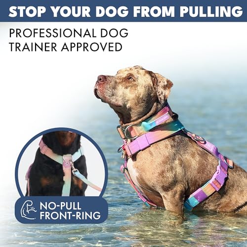 Image of Spark Paws No Pull Dog Harness with Handle for Large Dogs, Heavy Duty Dog Harness for Big Strong Breeds, Adjustable, Y Shaped Padded Halter Design with Front Clip- Pastel Icing - M