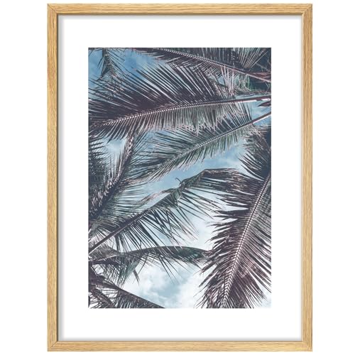 SIGNWIN Framed Poster Palm Leaves Against Sky Tropical Nature Scene with Blue Sky Illustrations Nature Wilderness Minimalist Decorative for Living Room, Bedroom, Office - 8"x10" Natural