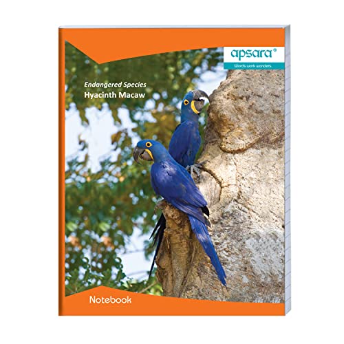 Image of Apsara Kingsize Notebook | Blue Lines | Bright Paper |Center Staple | 24 x 18 cm | 172 Pages | Single Line | Pack of 12