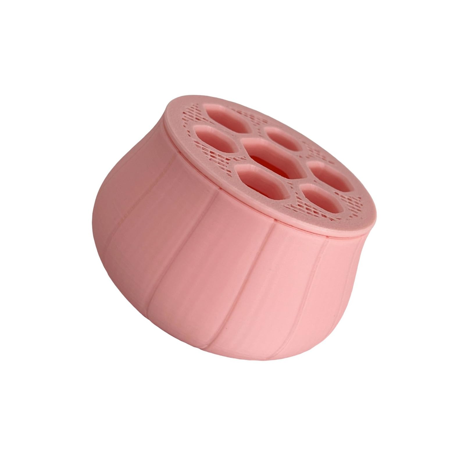 Hydroponic plant planter for soil without gardening, fast growing of onion in home environment vegetable hydroponic