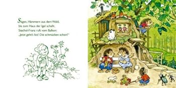 Board book Das Fest im Walde. Pappebuch [German] Book