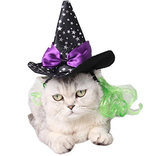 Bravo Sport Halloween Pet Wizard Hat, Black Witch Cap With Star Decor, Party Costume Wizard Head Wear Cosplay Accessories for Cats and Small Dogs Free Size