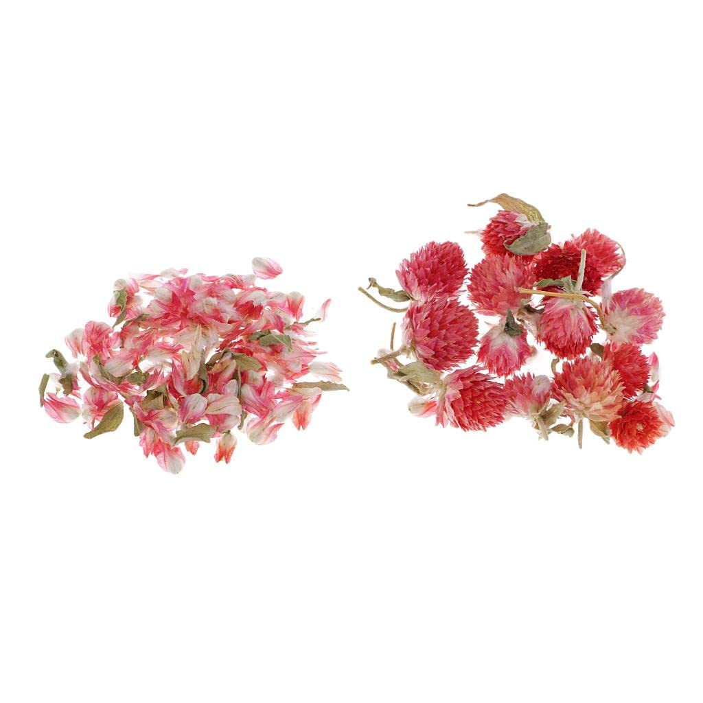 BNF® 4g Bag Natural Dried Flowers Real Flowers for Candle Making AmaranthDried Dried Botanicals Potpourri Floral Crafts Home Arts Crafts-picture-31